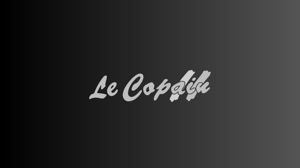 Le Copain